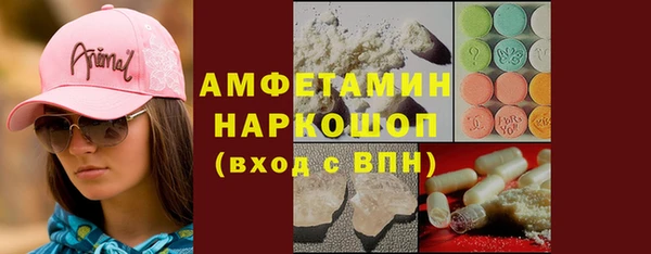 индика Нестеровская