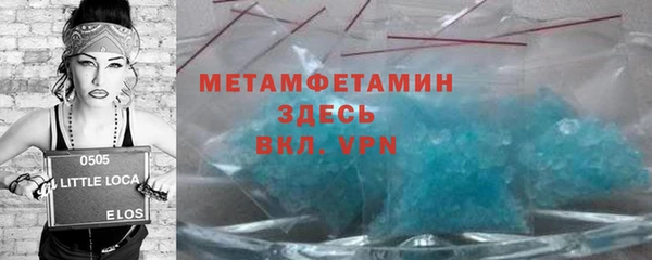 индика Нестеровская