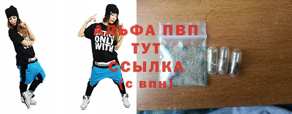 сатива Инсар