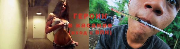сатива Инсар