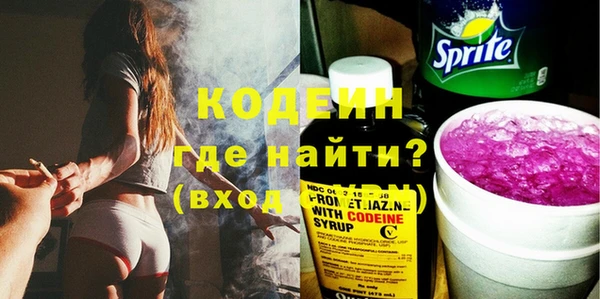 хмурый Инта