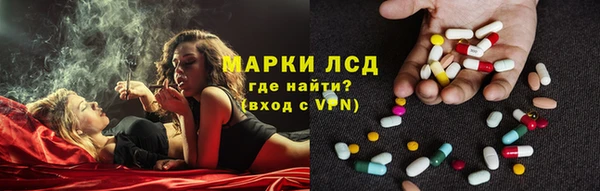 сатива Инсар