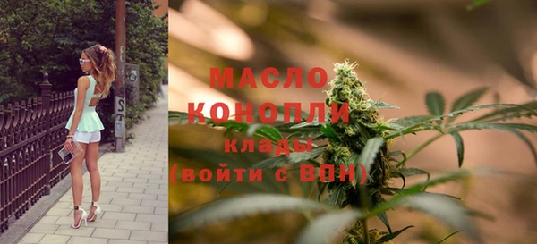 сатива Инсар